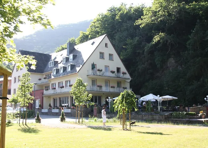 Hotel Alte Muehle